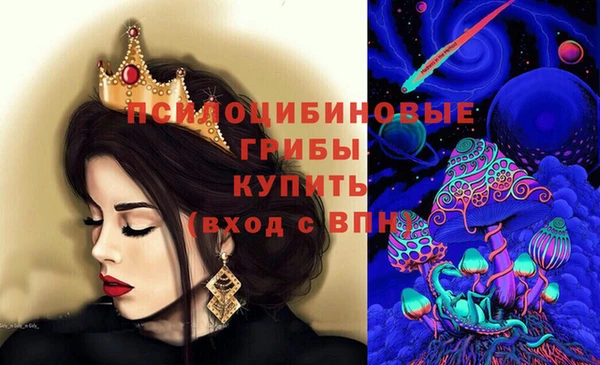 mdpv Пролетарск